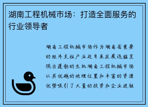 湖南工程机械市场：打造全面服务的行业领导者